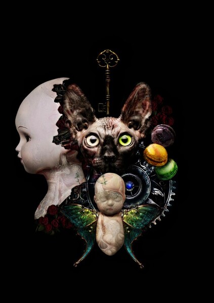 Photograph Clam Noise A Grin Without A Cat on One Eyeland